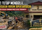 PETI Tetap Menggila, Penegakan Hukum Polres Pohuwato Dipertanyakan: Ada Apa di Balik Tambang Emas Ilegal?
