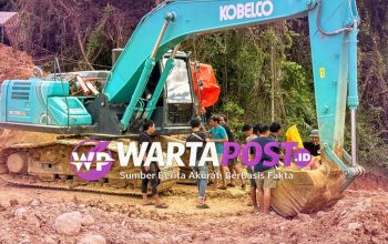 Alat Ekskavator Diamankan: Penertiban PETI Teratai Sisakan Tanda Tanya, Siapa Pemodal Utamanya?