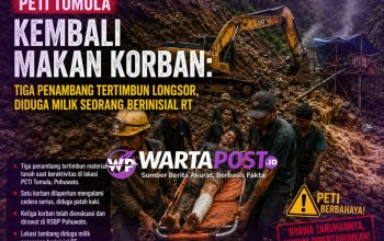 PETI Tomula Kembali Makan Korban: Tiga Penambang Tertimbun Longsor, Diduga Milik Seorang Berinisial RT